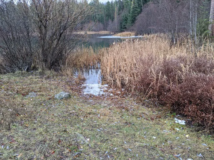 Lost Lake Camping Area 7