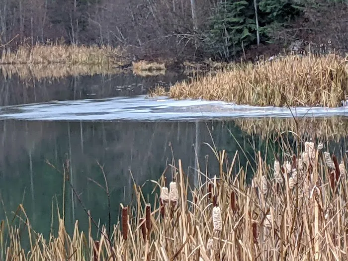 Lost Lake Camping Area 6