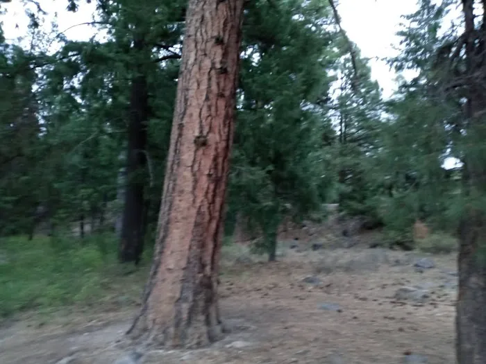Tieton River Rimrock 4
