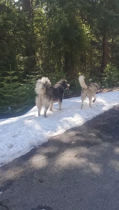 Goose Egg Sno Park 7
