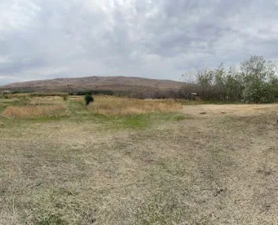Infidel Acres