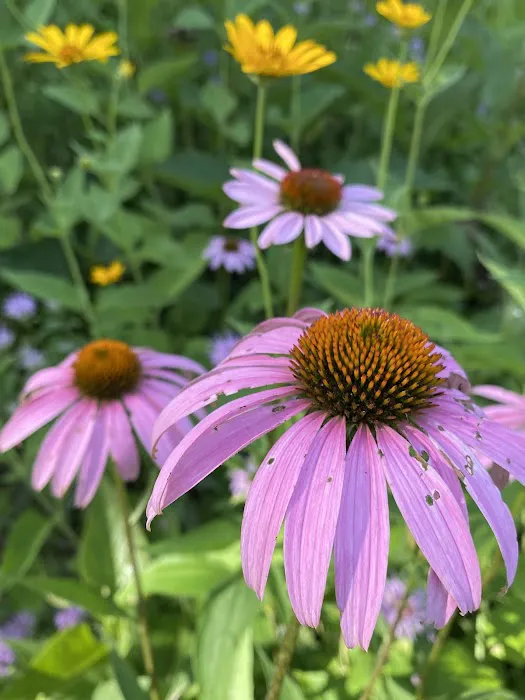 Linn Grove Park 3