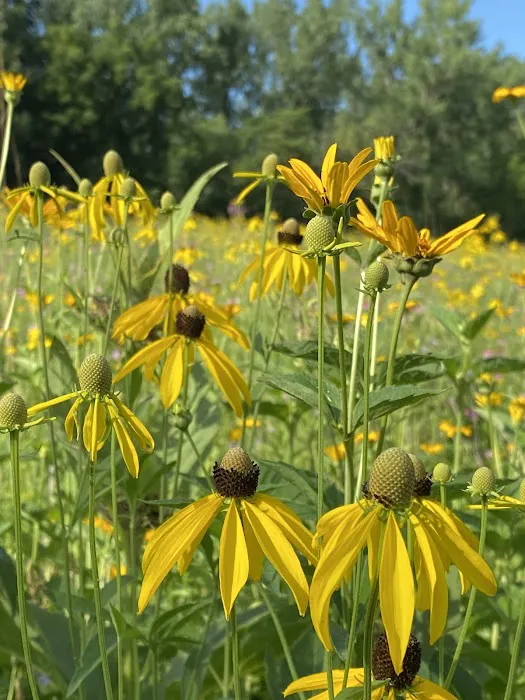 Linn Grove Park 8