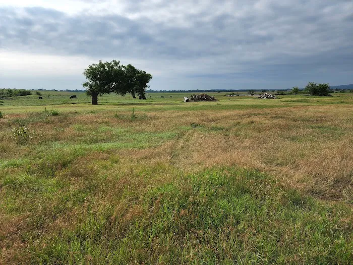 DreamKetchers Ranch 3
