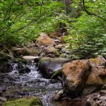 Horse Camp: Falls Creek