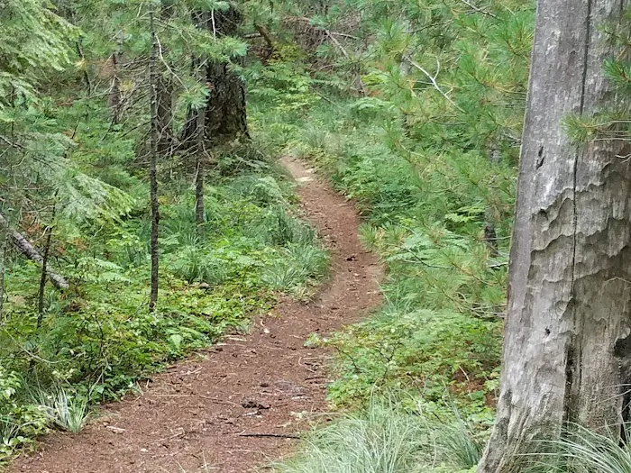 Horse Camp: Falls Creek 4