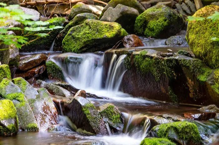 Horse Camp: Falls Creek 3