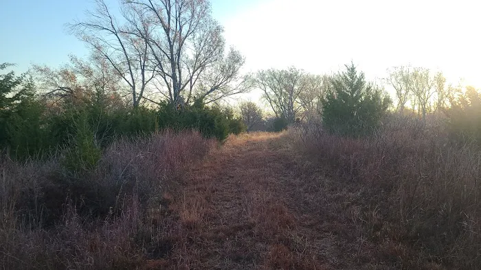 Cottonwood Campground 3