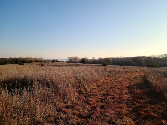 Cottonwood Campground 6