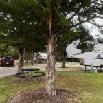 Campground at the Water-Zoo Clinton Indoor Water Park