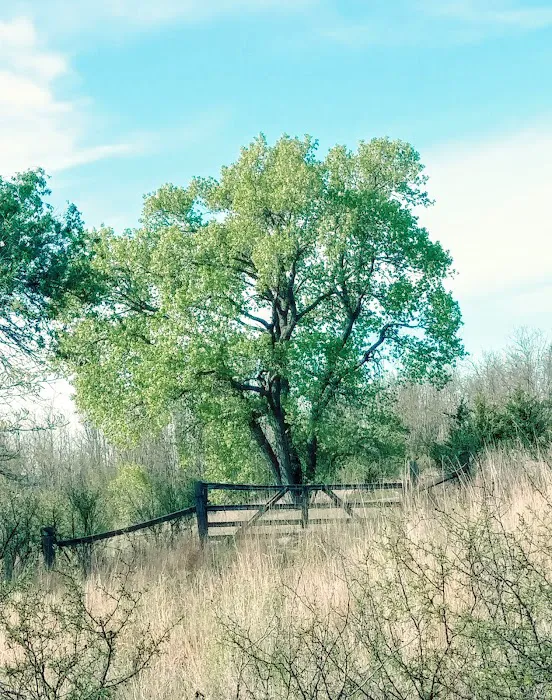 Spring Creek Lake Campground 6