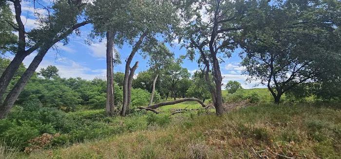 Spring Creek Lake Campground 3