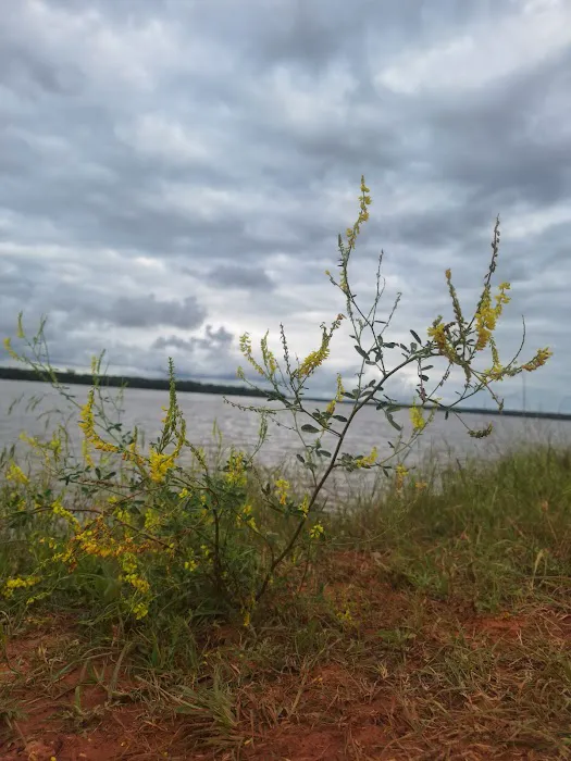 North Sentinel Campground and Boat Launch 9