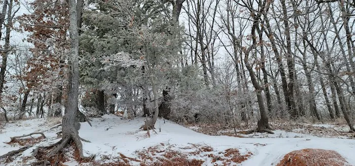 Hickory Hills Campground 6
