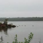 Critter Alley Campground