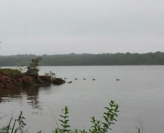 Critter Alley Campground