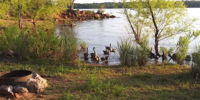 Critter Alley Campground 5