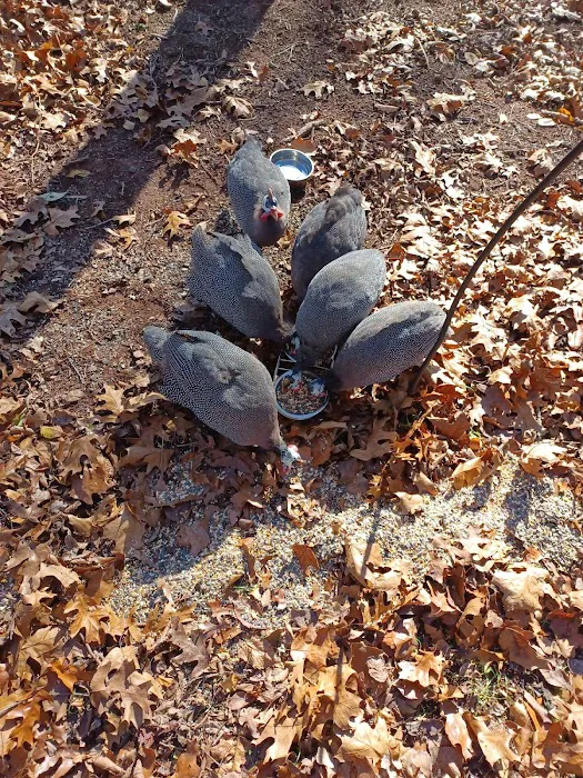 Redtail Campground 2