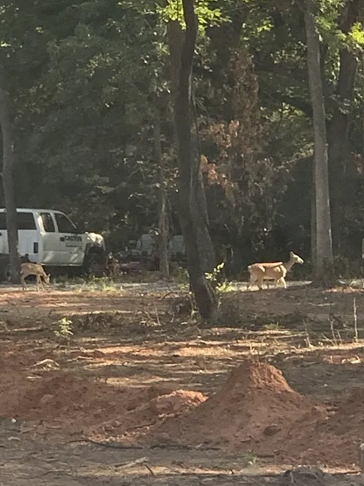 Redtail Campground 8
