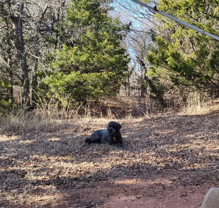 Arcadia Lake Campground 5