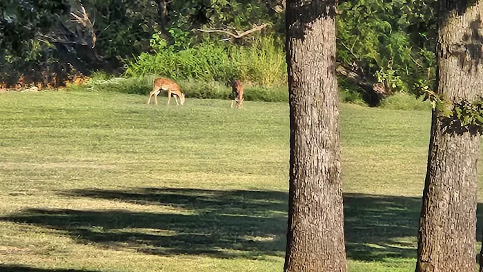 Arcadia Lake Campground 8