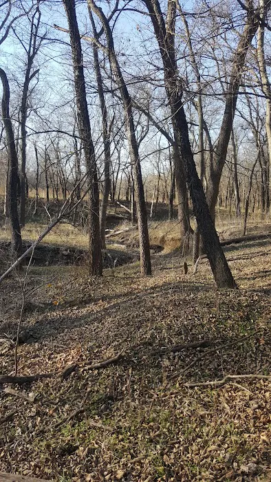 Blue Creek Campground 9