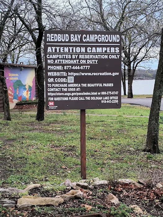 Redbud Bay Campground 9