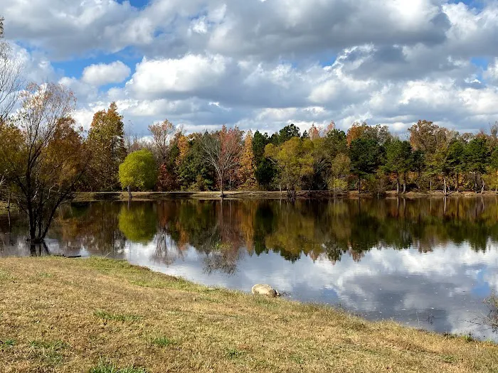 Shadow Mountain RV Park 7