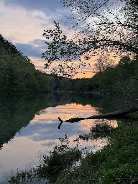 Cossatot Falls Campground 8