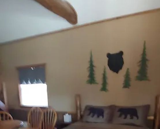 Custom Cabin Rental