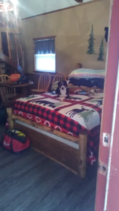 Custom Cabin Rental 7