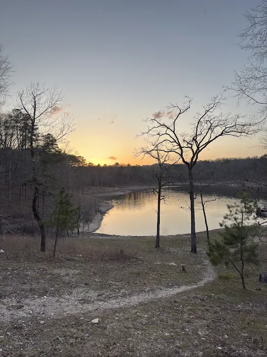 Firefly Tent Campground 4