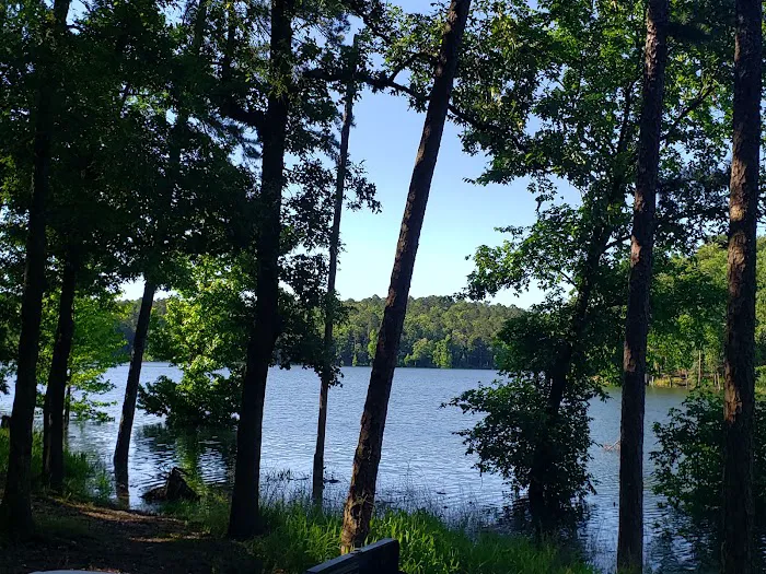Carson Creek Area RV Campground 4