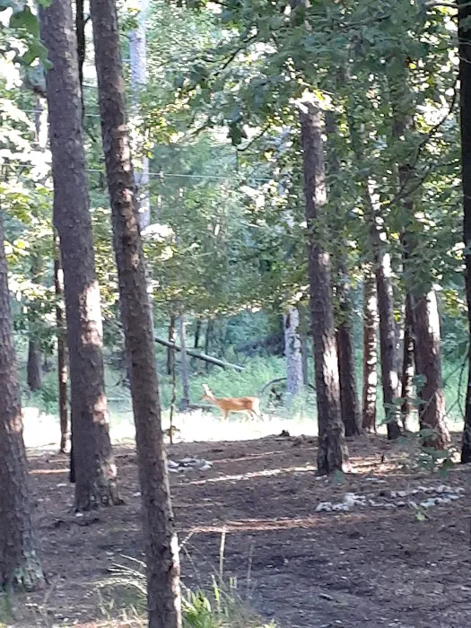 Quail Circle RV Campground 7