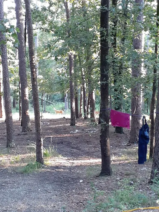 Quail Circle RV Campground 8