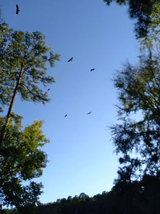 Hawk Campgrounds 3