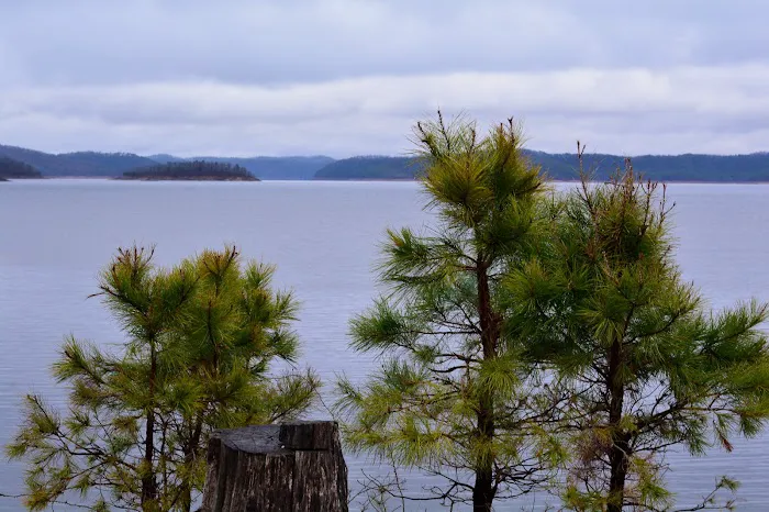 Crystal Point 9