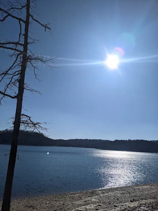 Coyote Drive Campground 2