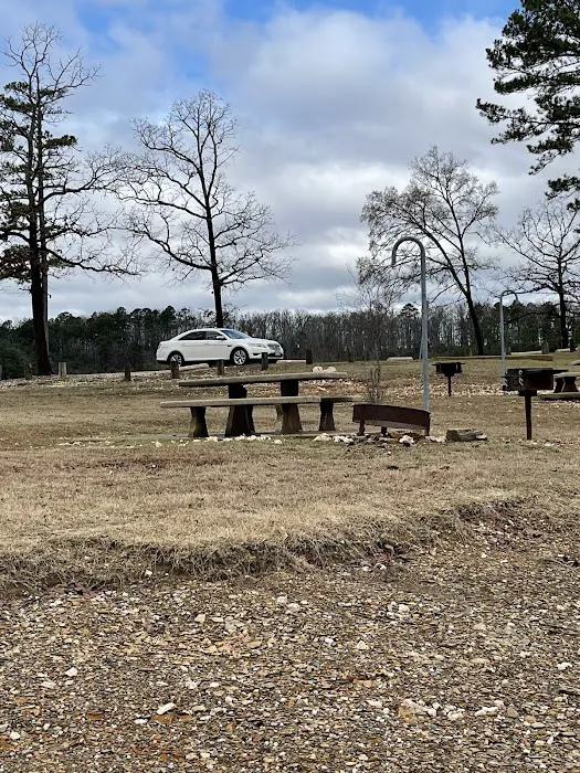 Coyote Drive Campground 5