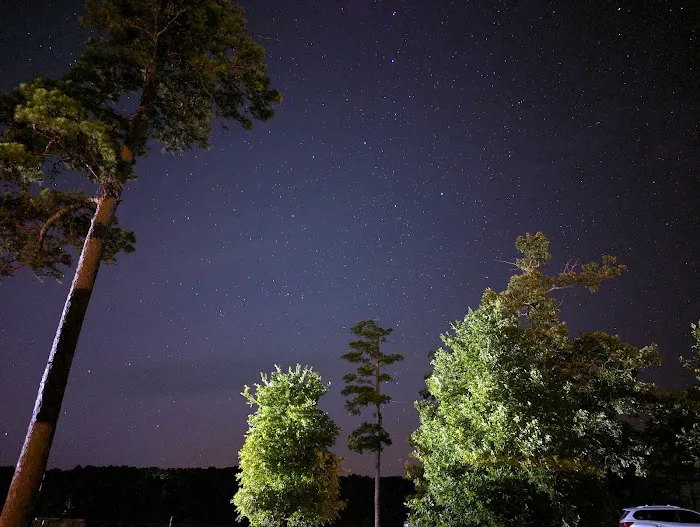Coyote Drive Campground 7