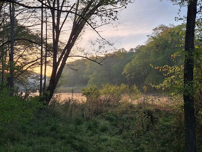 Hickory Campground 3
