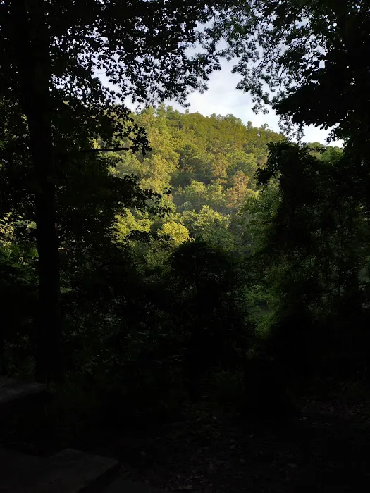 Grapevine Campground 8