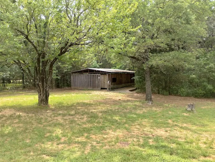 Hanta Pa Ha Campsite 2