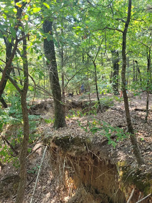 Buncombe Creek Campground 5