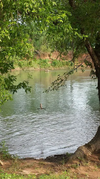 Illinois River Yacht Club and Campground 8
