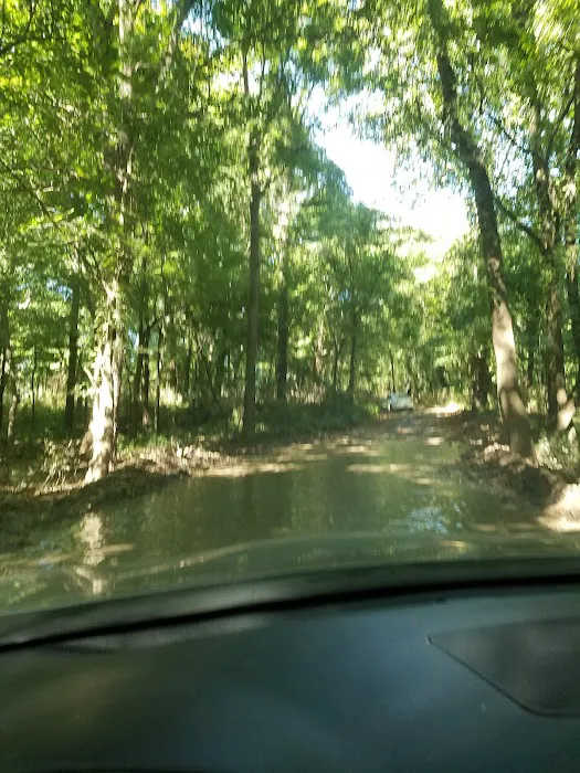 Baron Fork Creek Boy Scout Hole 6