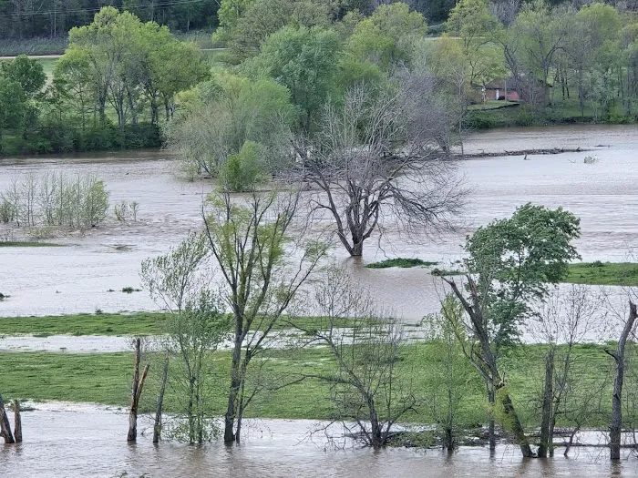 River Ranch 1