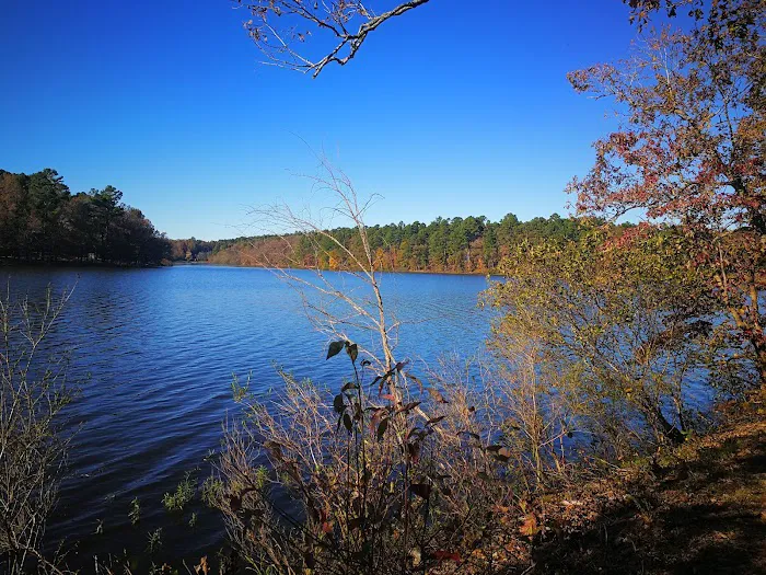 Lake Wedington Campground 0