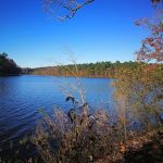 Lake Wedington Campground