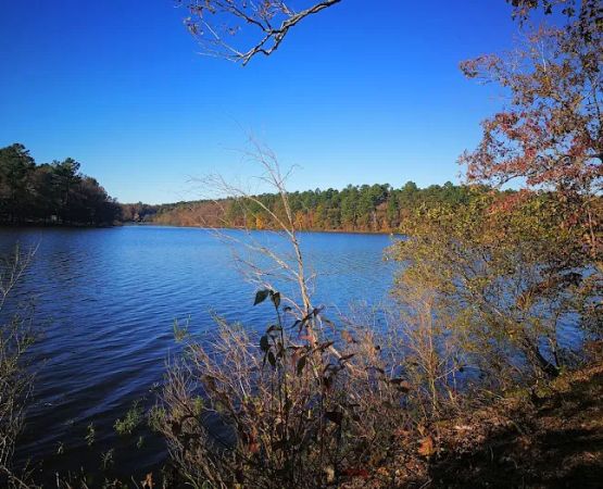 Lake Wedington Campground
